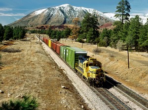 09)  ATSF 3010 E  McPhetridge, AZ  2-20-95  MP 338