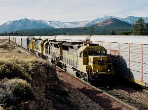 13)  ATSF 3823 E  Cosnino, AZ  2-20-95